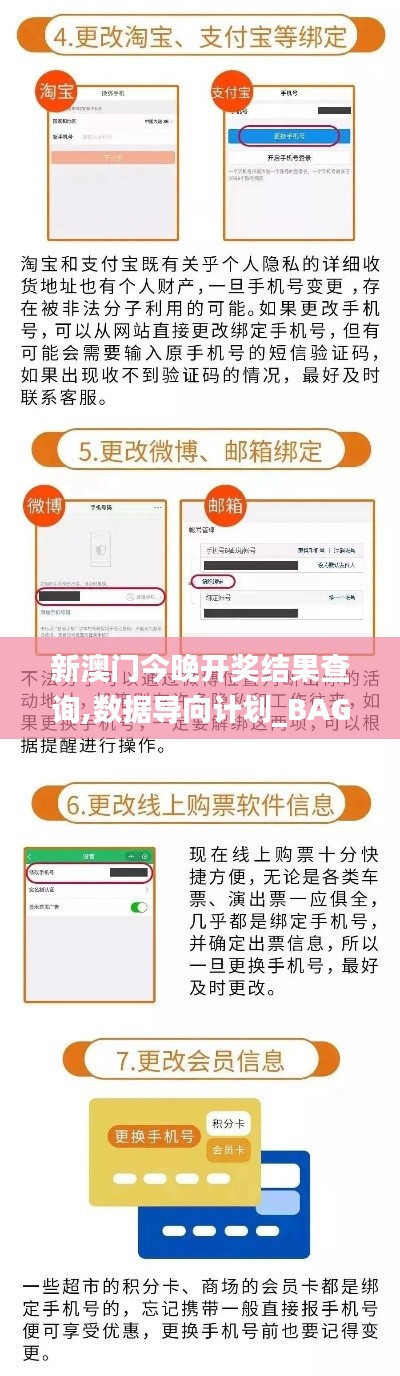 新澳门今晚开奖结果查询,数据导向计划_BAG15.13