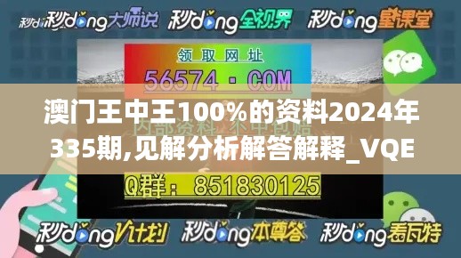 澳门王中王100%的资料2024年335期,见解分析解答解释_VQE7.67