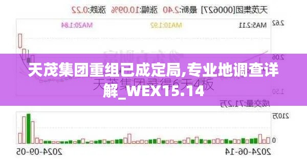 天茂集团重组已成定局,专业地调查详解_WEX15.14