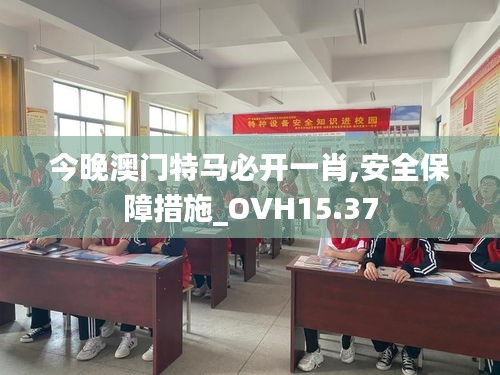 今晚澳门特马必开一肖,安全保障措施_OVH15.37