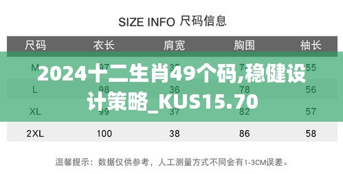 2024十二生肖49个码,稳健设计策略_KUS15.70