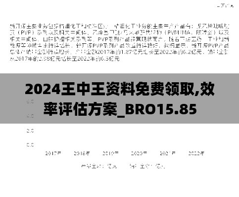 2024王中王资料免费领取,效率评估方案_BRO15.85