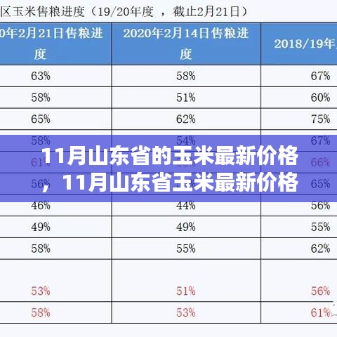 山东省玉米最新价格深度评测与介绍，11月玉米行情分析