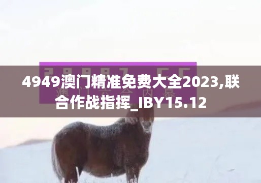 4949澳门精准免费大全2023,联合作战指挥_IBY15.12