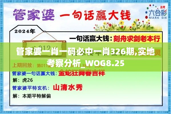 管家婆一肖一码必中一肖326期,实地考察分析_WOG8.25