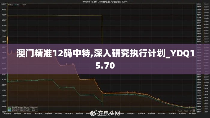 澳门精准12码中特,深入研究执行计划_YDQ15.70