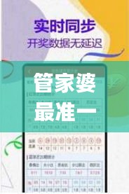 管家婆最准一肖一特335期,丰盈解答解释落实_HPX9.19