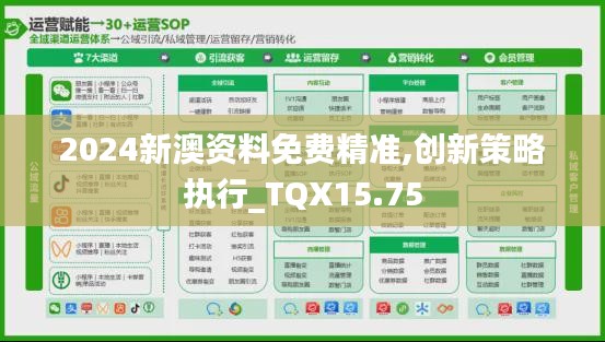 2024新澳资料免费精准,创新策略执行_TQX15.75