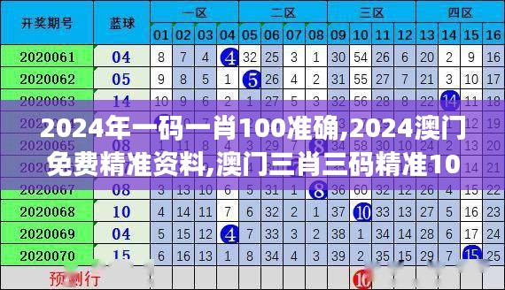 2024年一码一肖100准确,2024澳门免费精准资料,澳门三肖三码精准100%,新澳门彩,快速解答方案设计_JLU15.22