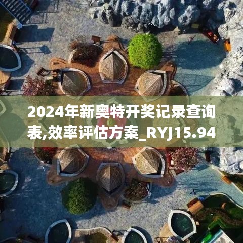 2024年新奥特开奖记录查询表,效率评估方案_RYJ15.94