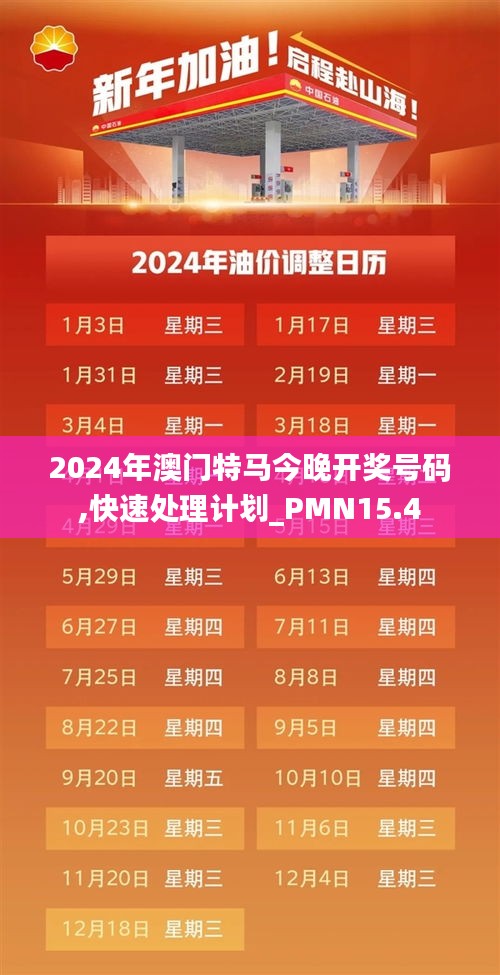 2024年澳门特马今晚开奖号码,快速处理计划_PMN15.4