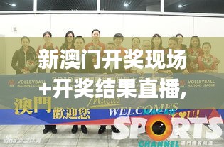 新澳门开奖现场+开奖结果直播,全面解答_WFV15.49