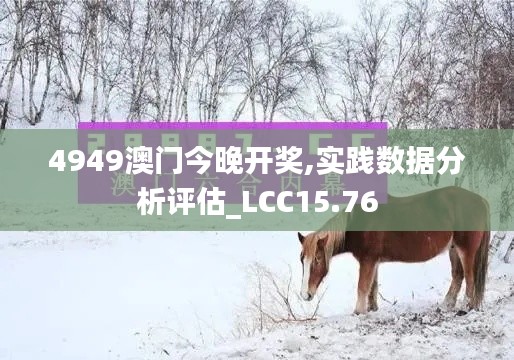 4949澳门今晚开奖,实践数据分析评估_LCC15.76