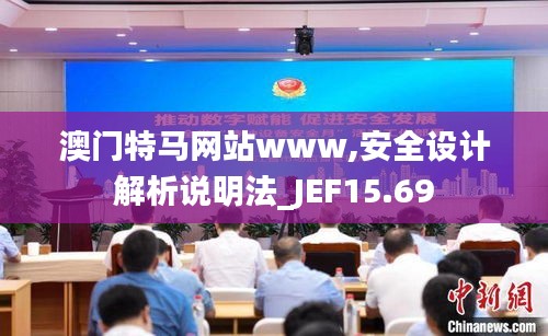 澳门特马网站www,安全设计解析说明法_JEF15.69