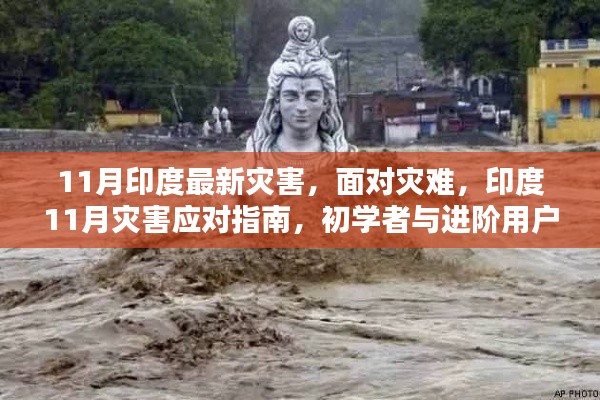 印度11月灾害应对指南，从初学者到进阶用户的全方位指南