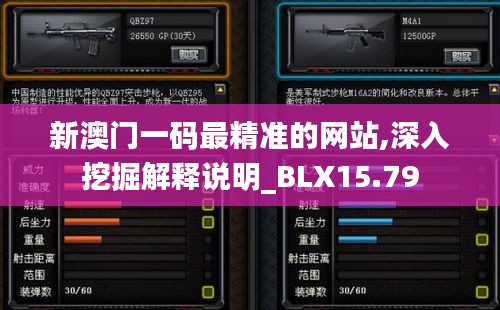 新澳门一码最精准的网站,深入挖掘解释说明_BLX15.79