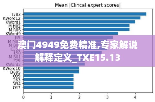 澳门4949免费精准,专家解说解释定义_TXE15.13