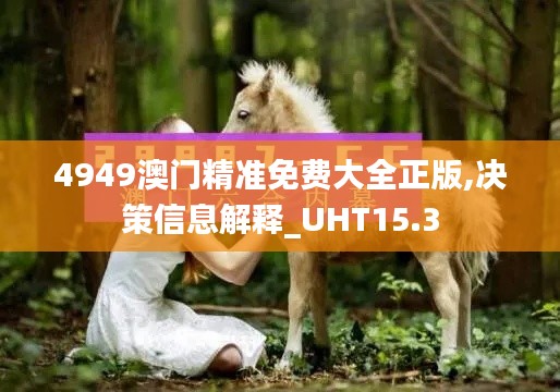 4949澳门精准免费大全正版,决策信息解释_UHT15.3