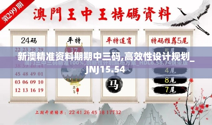 新澳精准资料期期中三码,高效性设计规划_JNJ15.54