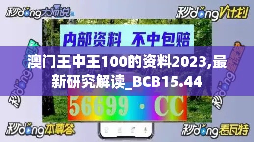 澳门王中王100的资料2023,最新研究解读_BCB15.44