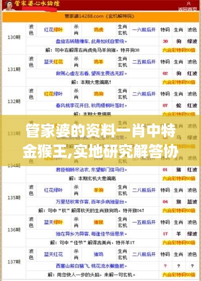 管家婆的资料一肖中特金猴王,实地研究解答协助_OBI15.62