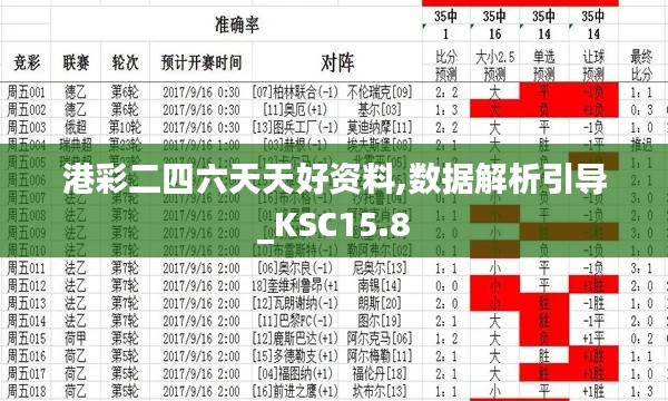 港彩二四六天天好资料,数据解析引导_KSC15.8