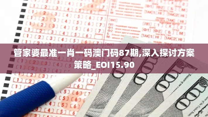 管家婆最准一肖一码澳门码87期,深入探讨方案策略_EOI15.90