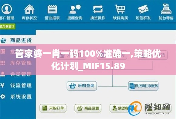 管家婆一肖一码100%准确一,策略优化计划_MIF15.89