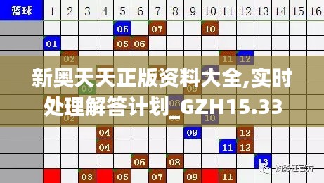 新奥天天正版资料大全,实时处理解答计划_GZH15.33