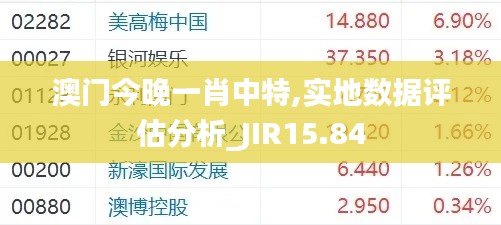 澳门今晚一肖中特,实地数据评估分析_JIR15.84