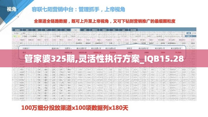 管家婆325期,灵活性执行方案_IQB15.28