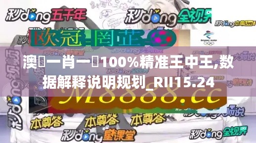 澳門一肖一碼100%精准王中王,数据解释说明规划_RII15.24