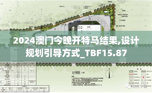 2024澳门今晚开特马结果,设计规划引导方式_TBF15.87