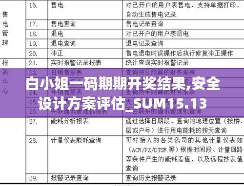 白小姐一码期期开奖结果,安全设计方案评估_SUM15.13