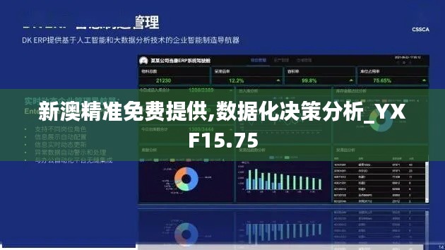 新澳精准免费提供,数据化决策分析_YXF15.75