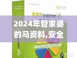 2024年管家婆的马资料,安全设计解析说明法_RMM15.63