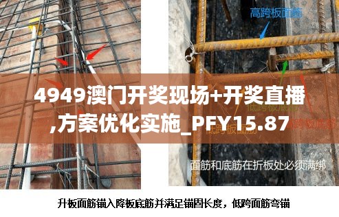 4949澳门开奖现场+开奖直播,方案优化实施_PFY15.87