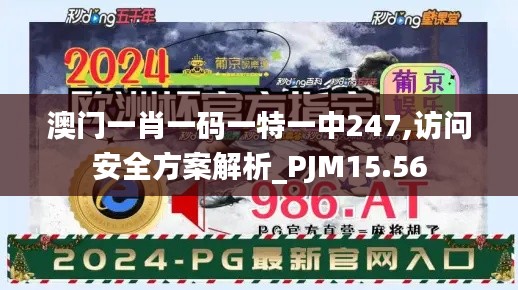 澳门一肖一码一特一中247,访问安全方案解析_PJM15.56