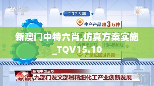 新澳门中特六肖,仿真方案实施_TQV15.10