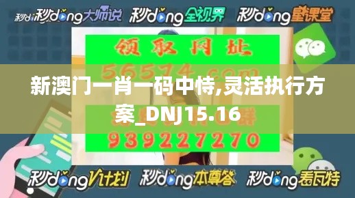 新澳门一肖一码中恃,灵活执行方案_DNJ15.16