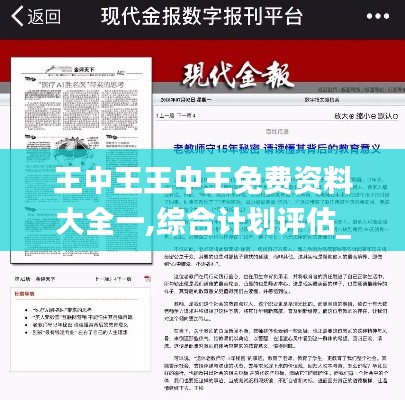 王中王王中王免费资料大全一,综合计划评估_BQK15.59