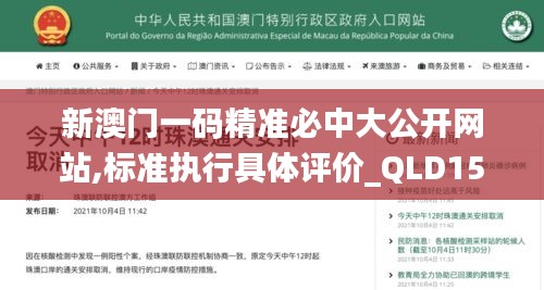 新澳门一码精准必中大公开网站,标准执行具体评价_QLD15.74