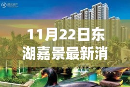 11月22日东湖嘉景最新消息发布与活动参与指南，入门到精通的步骤教程