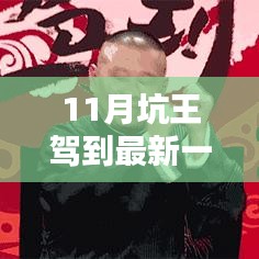 独家解析，最新一期坑王驾到免费观看与深度解读