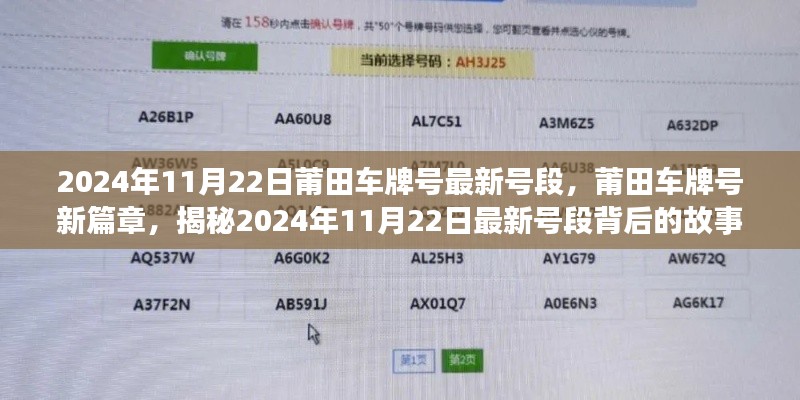 揭秘，莆田车牌号最新号段背后的故事——2024年11月22日更新篇章