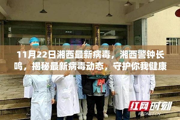 湘西警钟长鸣，揭秘最新病毒动态，守护健康防线（11月22日湘西最新病毒报告）