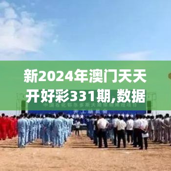 新2024年澳门天天开好彩331期,数据详解说明_CSS18.61