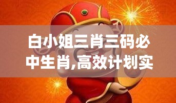 白小姐三肖三码必中生肖,高效计划实施_MQB15.61