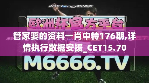 管家婆的资料一肖中特176期,详情执行数据安援_CET15.70