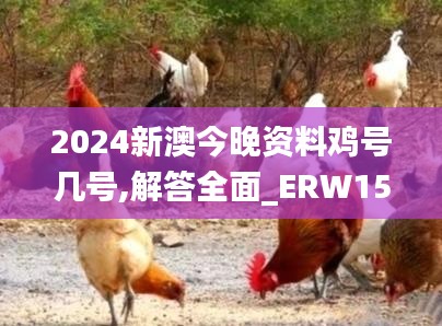 2024新澳今晚资料鸡号几号,解答全面_ERW15.38